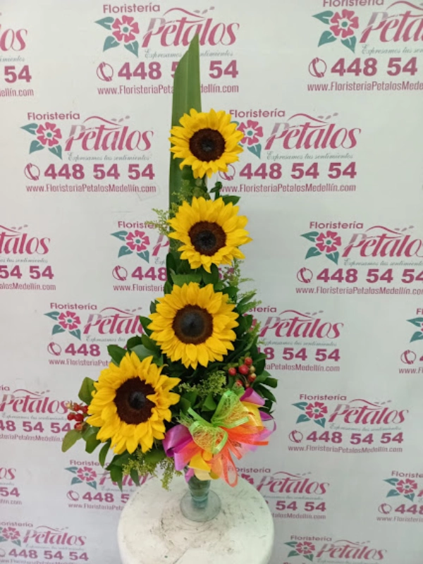 Flores Floristería Sabaneta 026